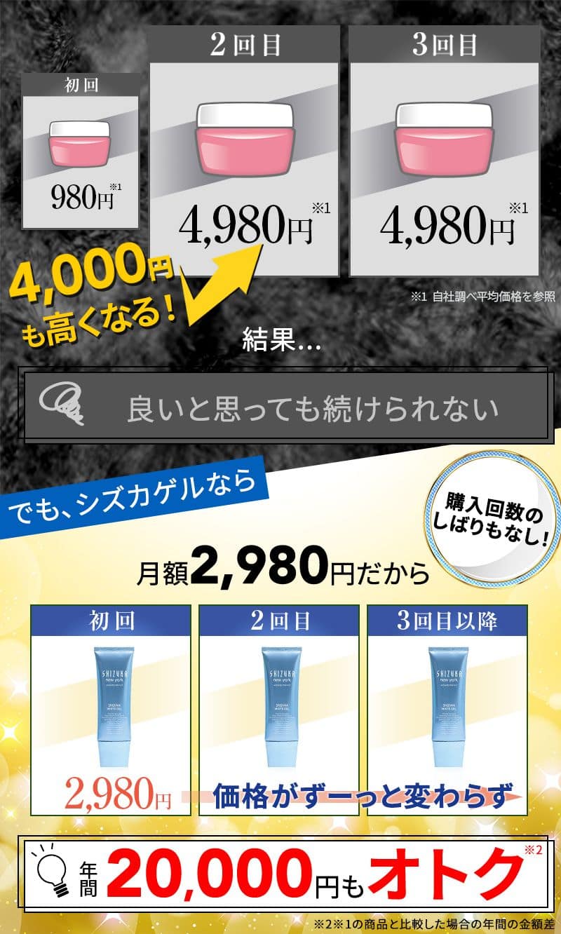 購入回数のしばりなし 20000円もオトク 価格変わらず2980円